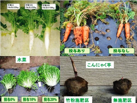 大根・人参・水菜・こんにゃく芋に対する竹粉投与効果